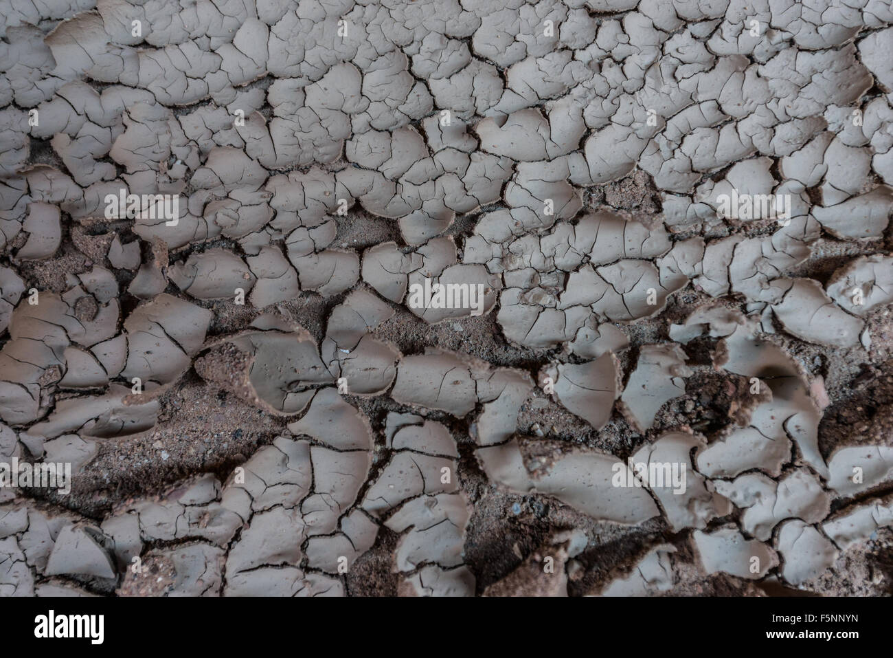 Cracked mud clay soil and pebbles background Stock Photo