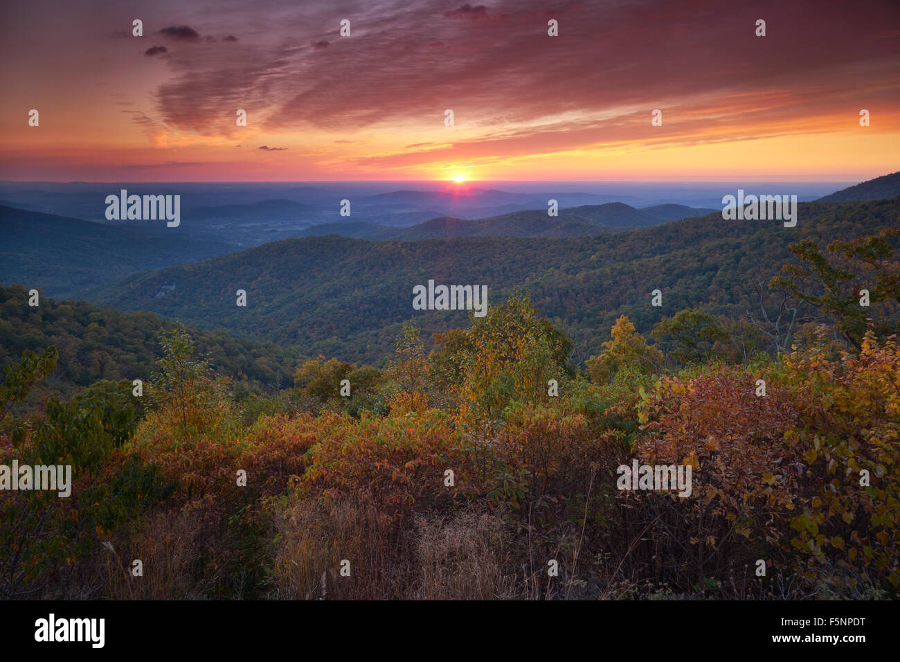 Colorful autumn sunrise at Bucks Hollow Overlook in Shenandoah National Park Stock Photo