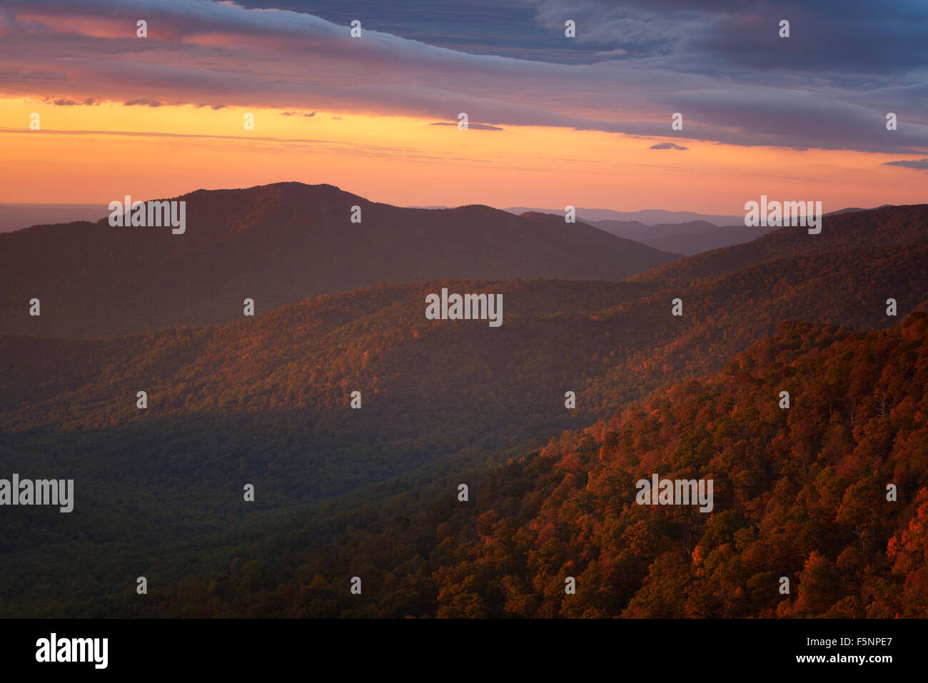 Grandiose and colorful autumn view of the Shenandoah Mountains from Pinnacles Overlook on Skyline Drive Stock Photo