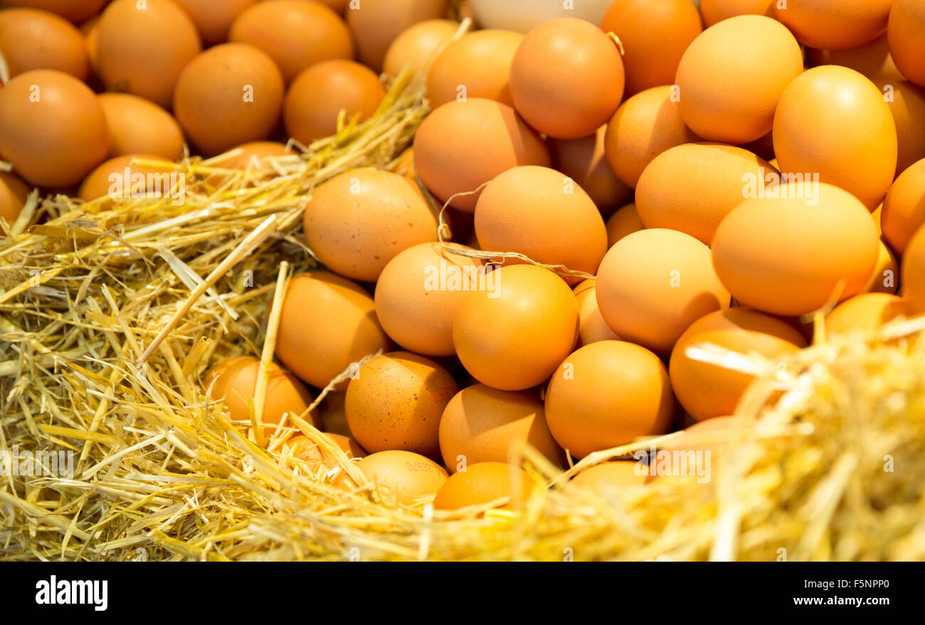 Fresh farm eggs on a straw Stock Photo - Alamy