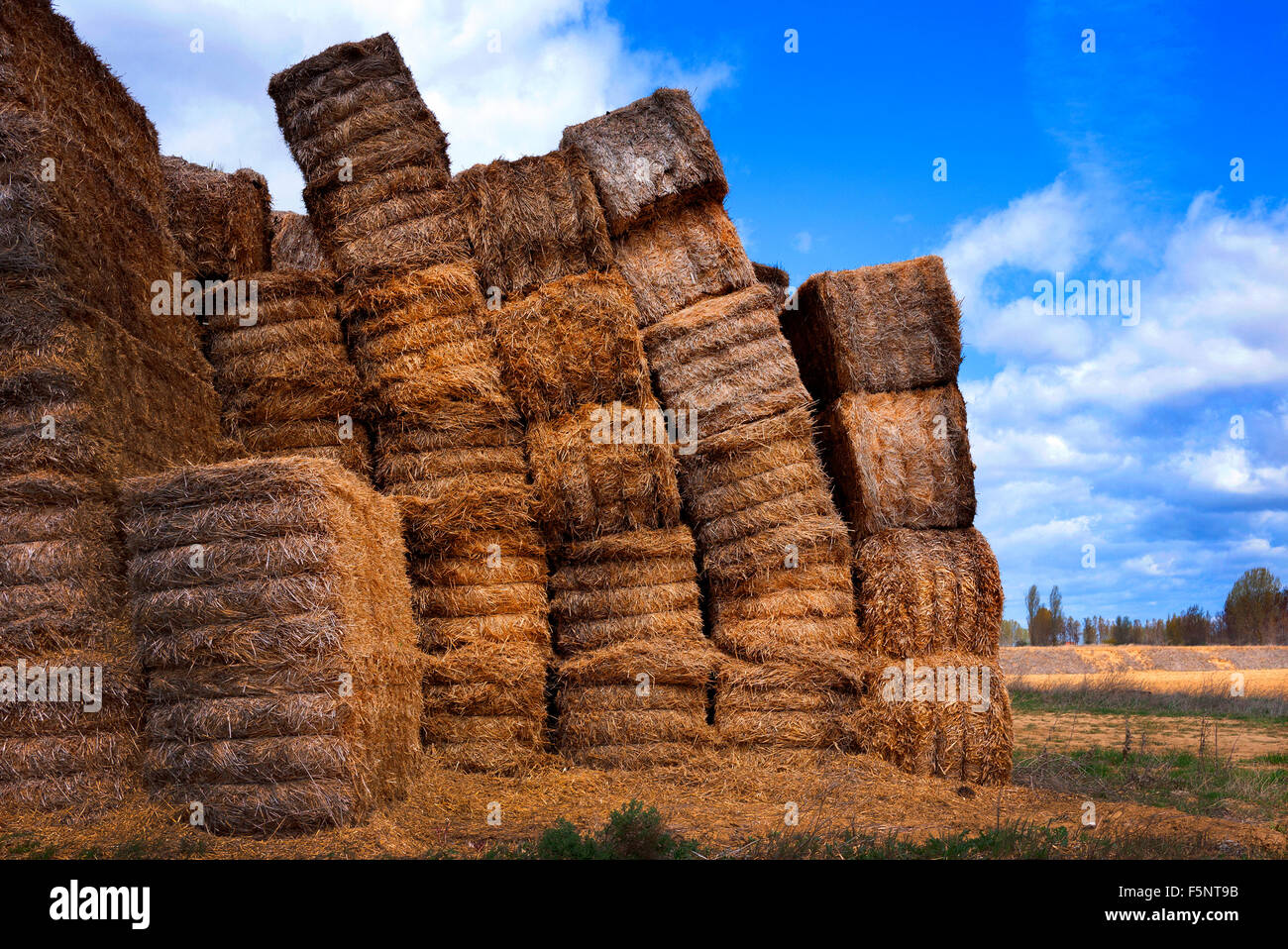 Straw bales, Spain. Stock Photo