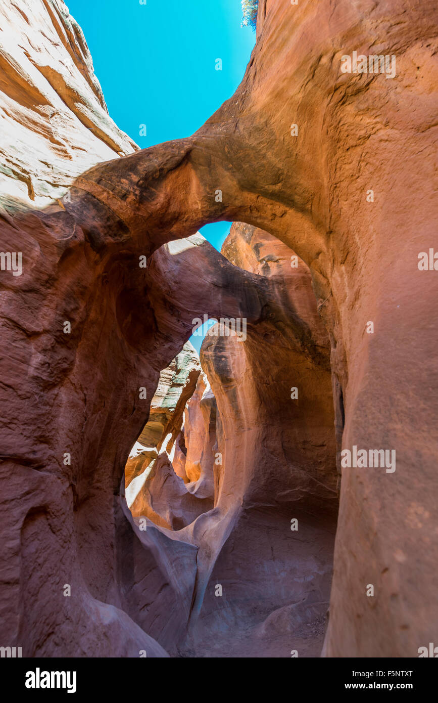Arches eroded in narrow, red sandstone Peekaboo Canyon Grand Staircase-Escalante Stock Photo