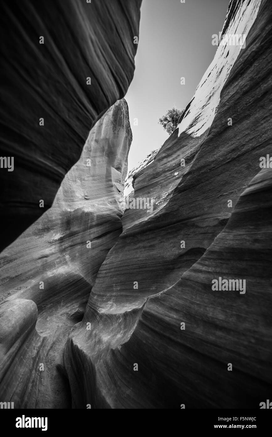 Black and White Slot Canyon Abstract Background Utah Stock Photo