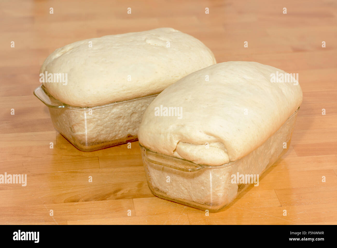 Bread in loaf pans rising dough Stock Photo