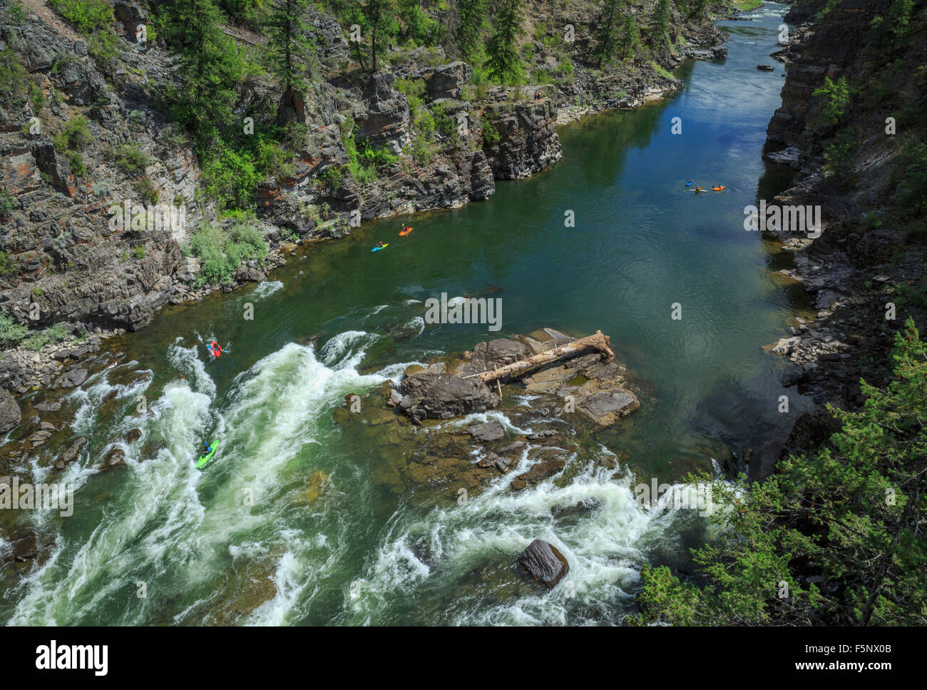 kayakers shooting fang rapids on the clark fork river in alberton