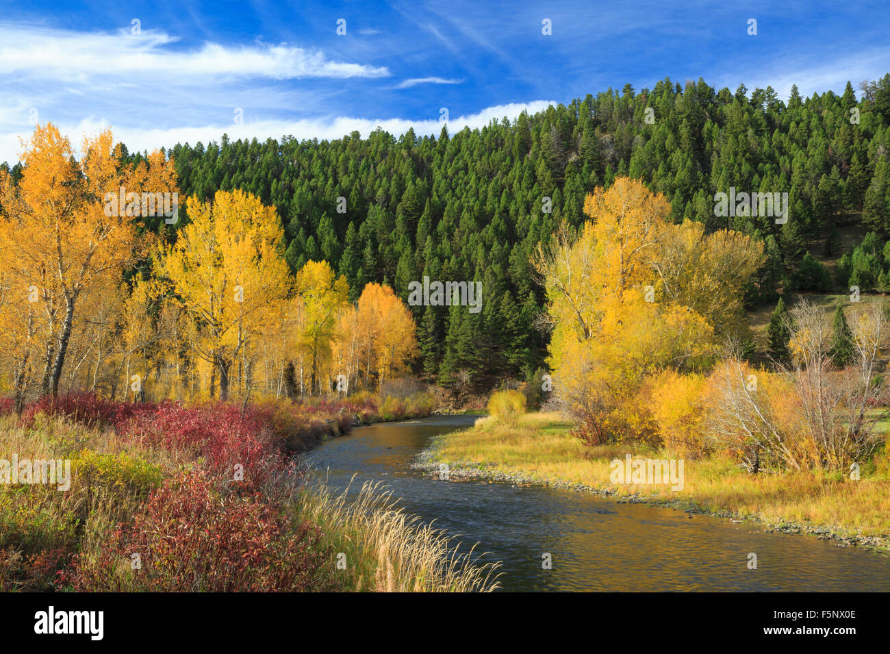 fall colors along the little blackfoot river near avon, montana Stock Photo Alamy