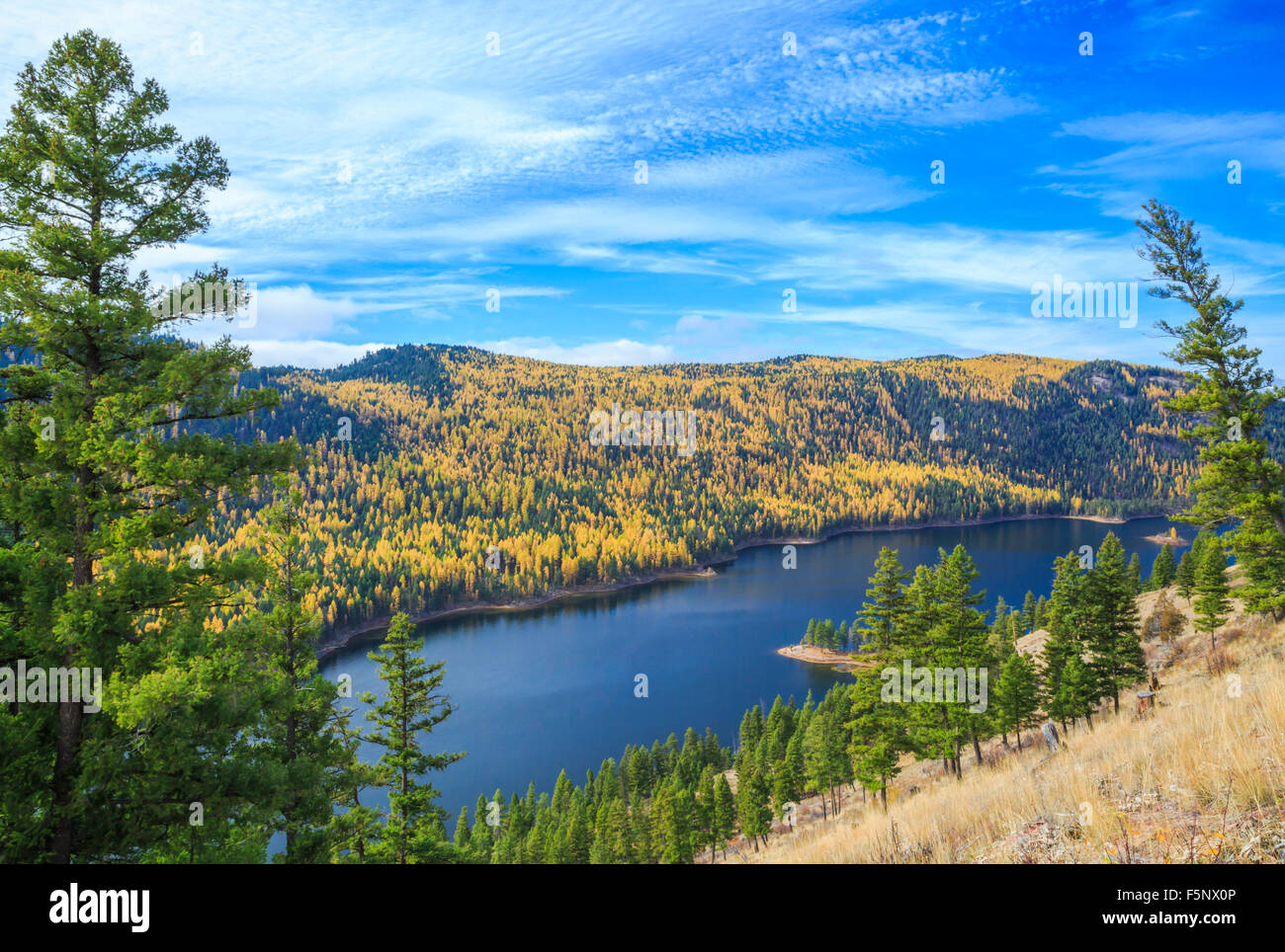 fall colors of larch above salmon lake in the clearwater river valley near seeley lake, montana Stock Photo