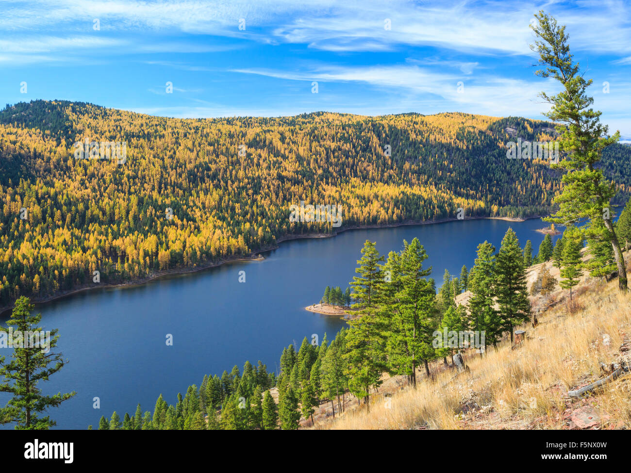 fall colors of larch above salmon lake in the clearwater river valley near seeley lake, montana Stock Photo