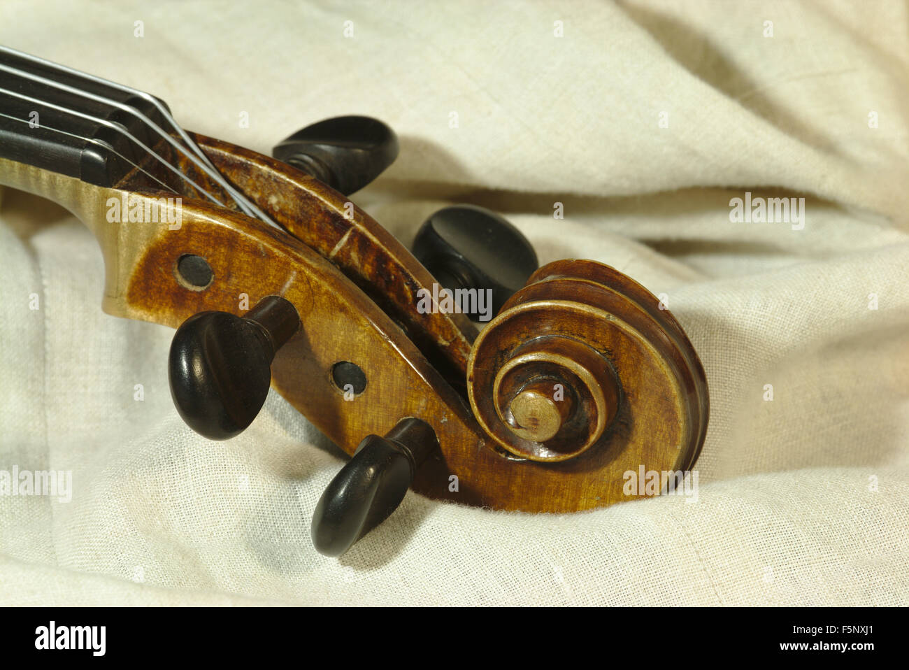 Pegbox of a violin Stock Photo Alamy