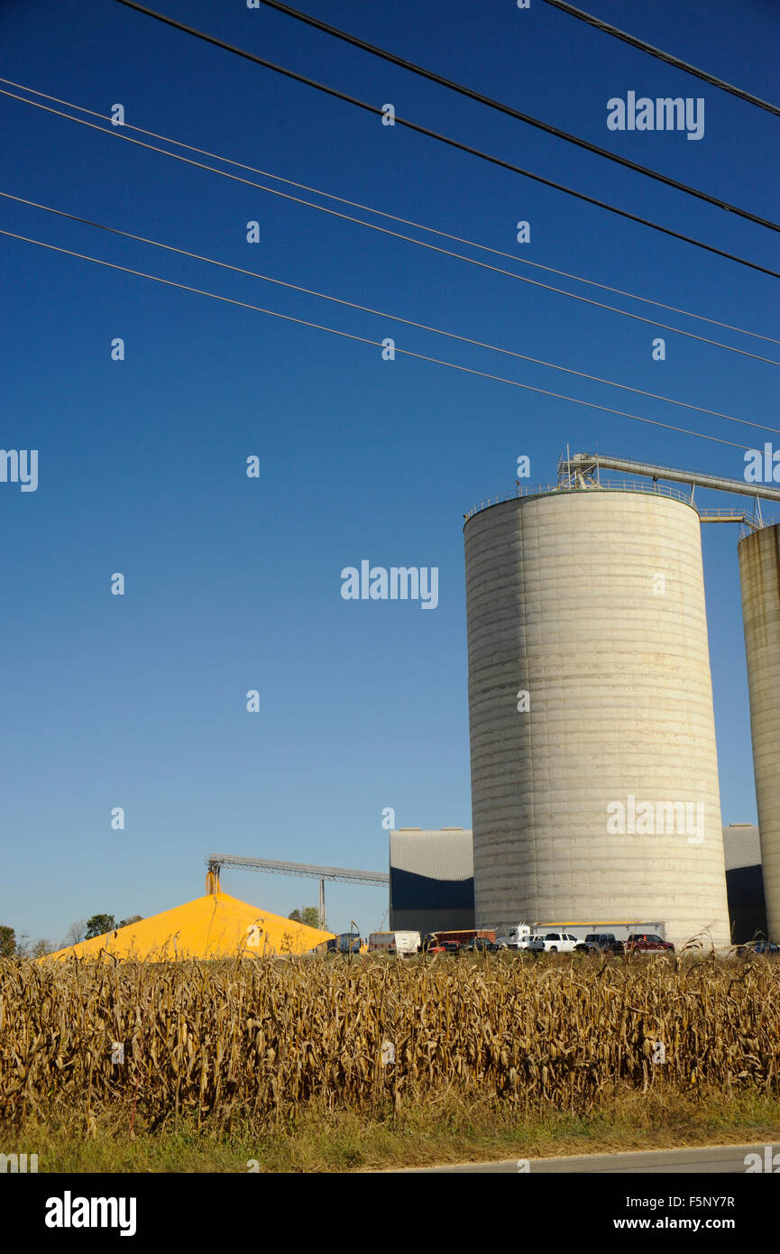 Kokomo, indiana hires stock photography and images Alamy