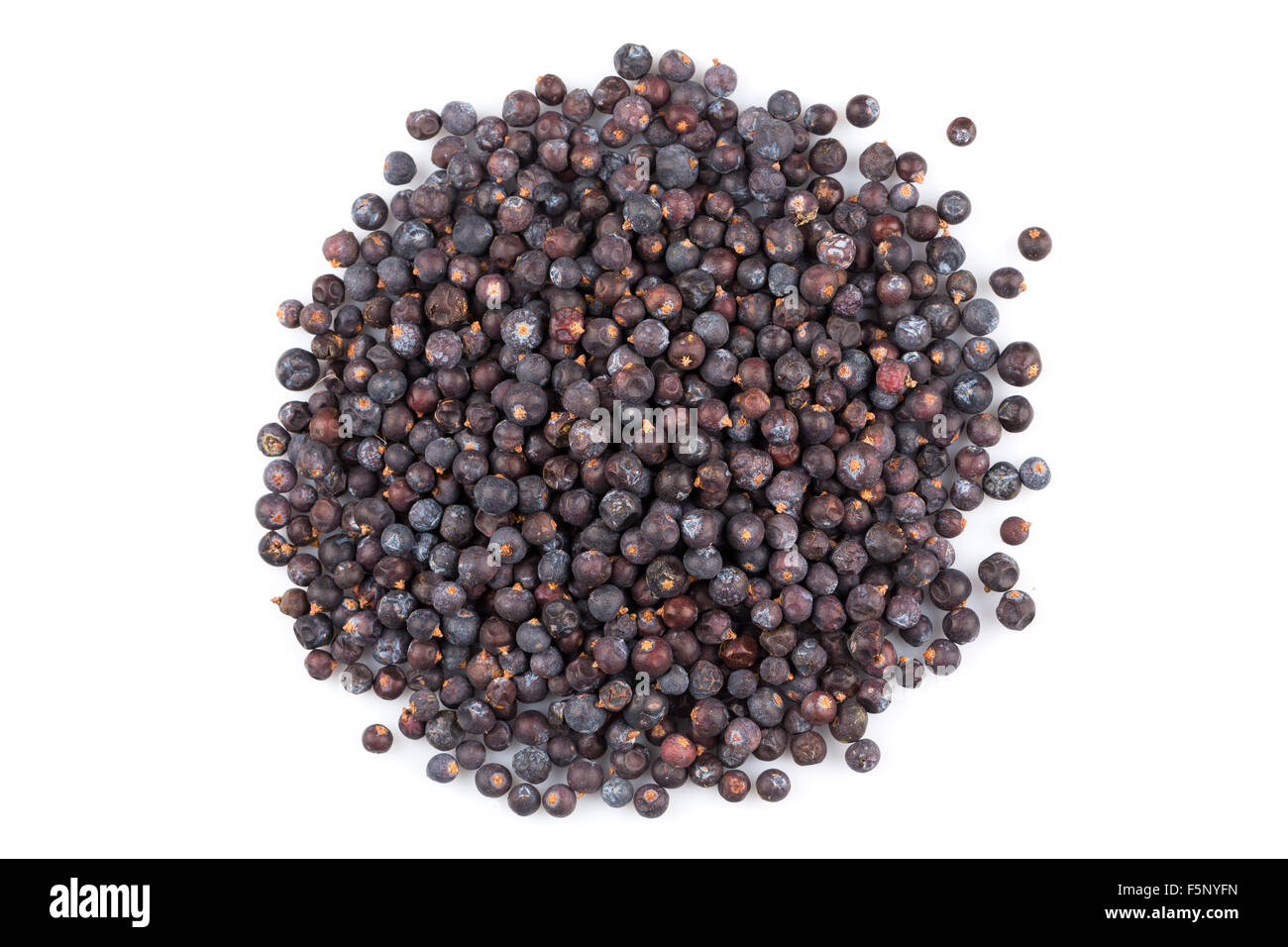 Dried black currant isolated on white background Stock Photo Alamy