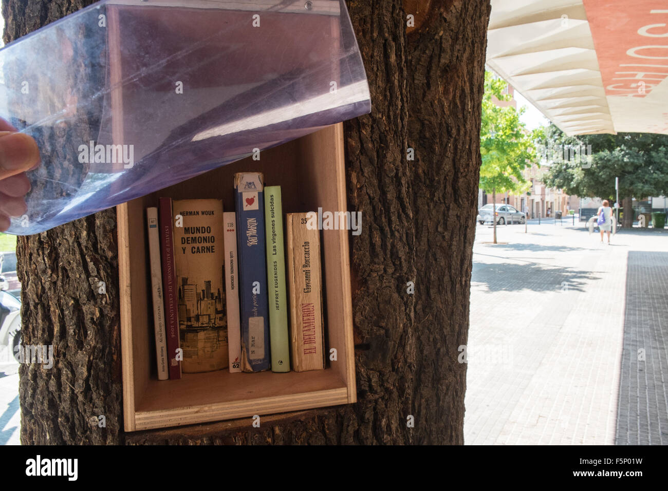 Innovative idea,used,recycled,books being available in a, tree, outside, Public library,Terrassa a city, in Barcelona province,Catalonia,Spain. Stock Photo