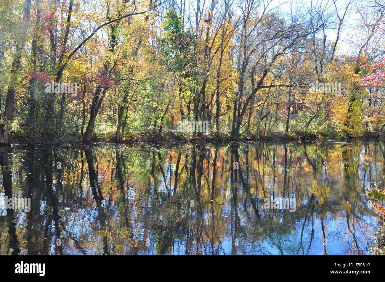 Autumn foliage new jersey canal trail Stock Photo Alamy