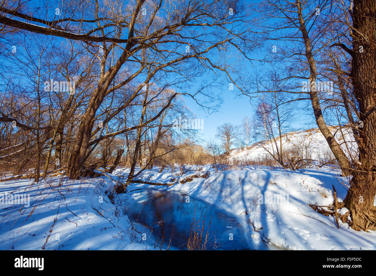 Winter Landscape with Forest and Ice River Stock Photo - Alamy