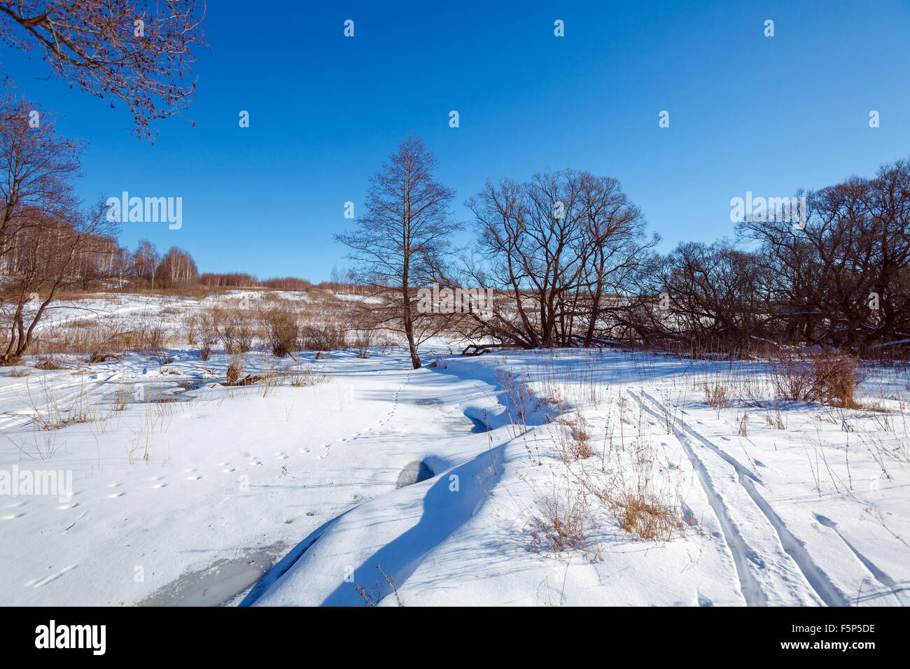Winter Landscape with Forest and Ice River Stock Photo - Alamy