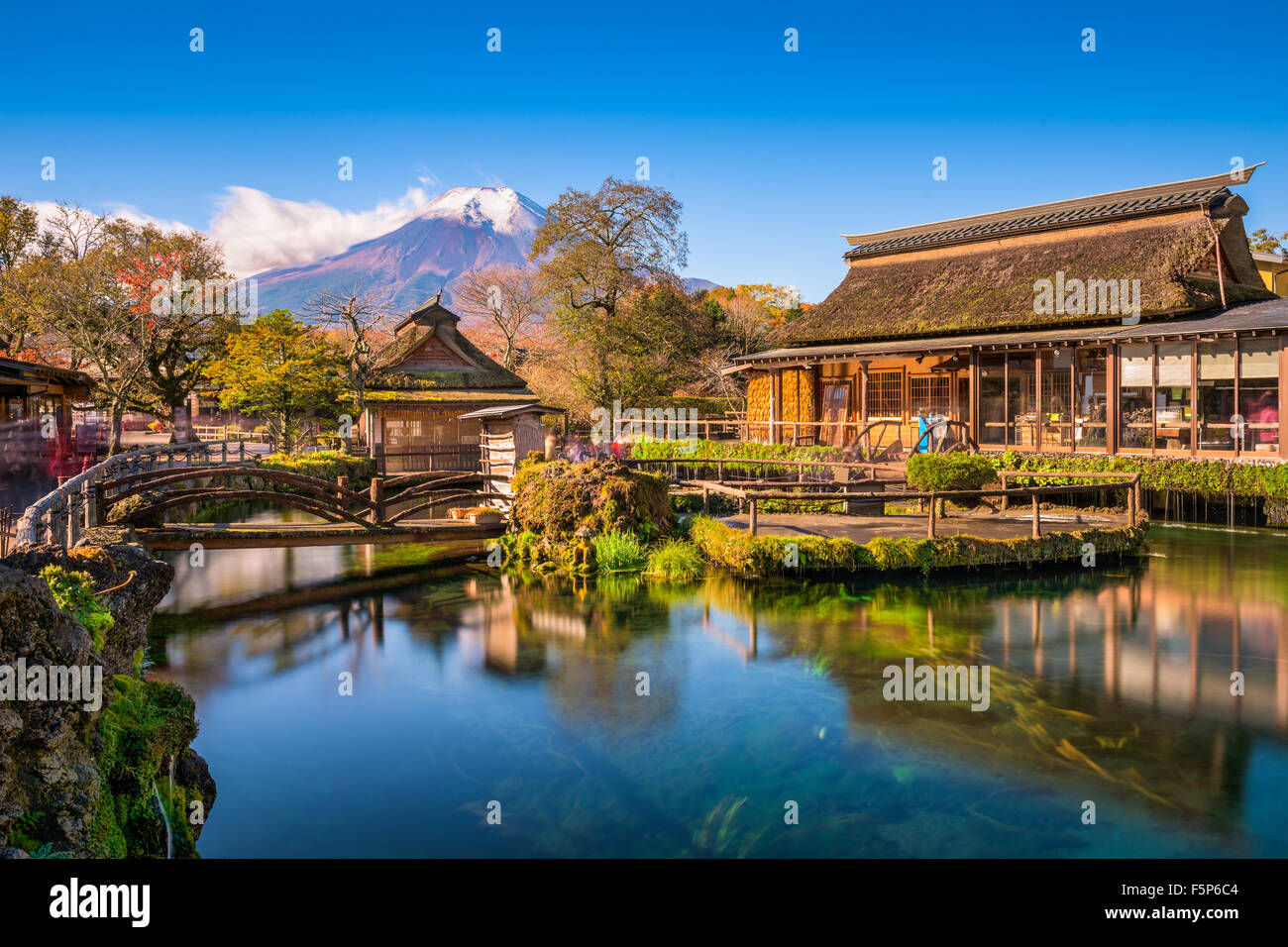 Mt. Fuji, Japan from Oshi no Hakkai lakes district. Stock Photo