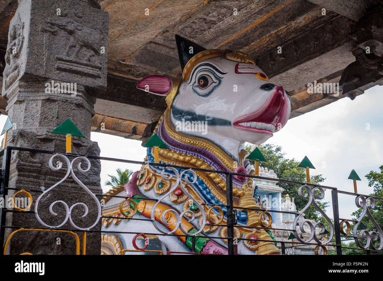 Nandi Bull in Ekambareshwar Hindu temple (11th century) Kanchipuram, Tamil Nadu, India, Asia Stock Photo