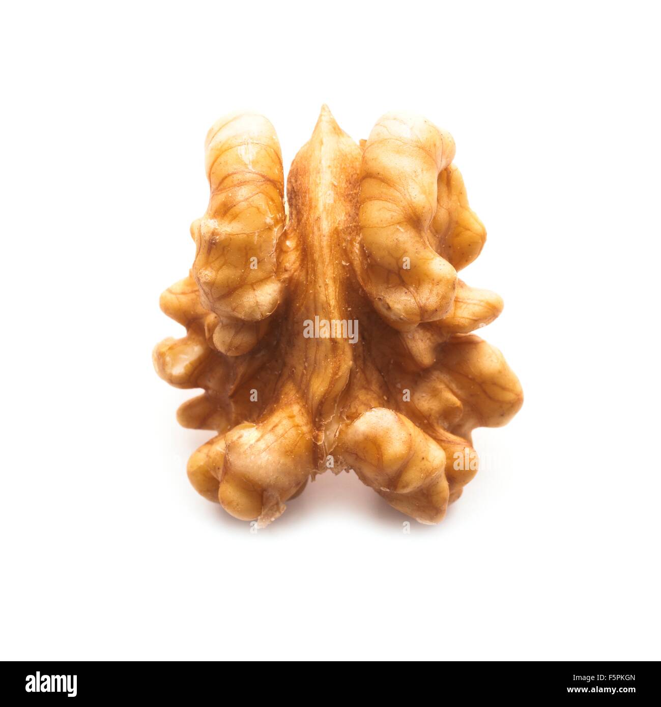 Walnut half against a white background Stock Photo Alamy