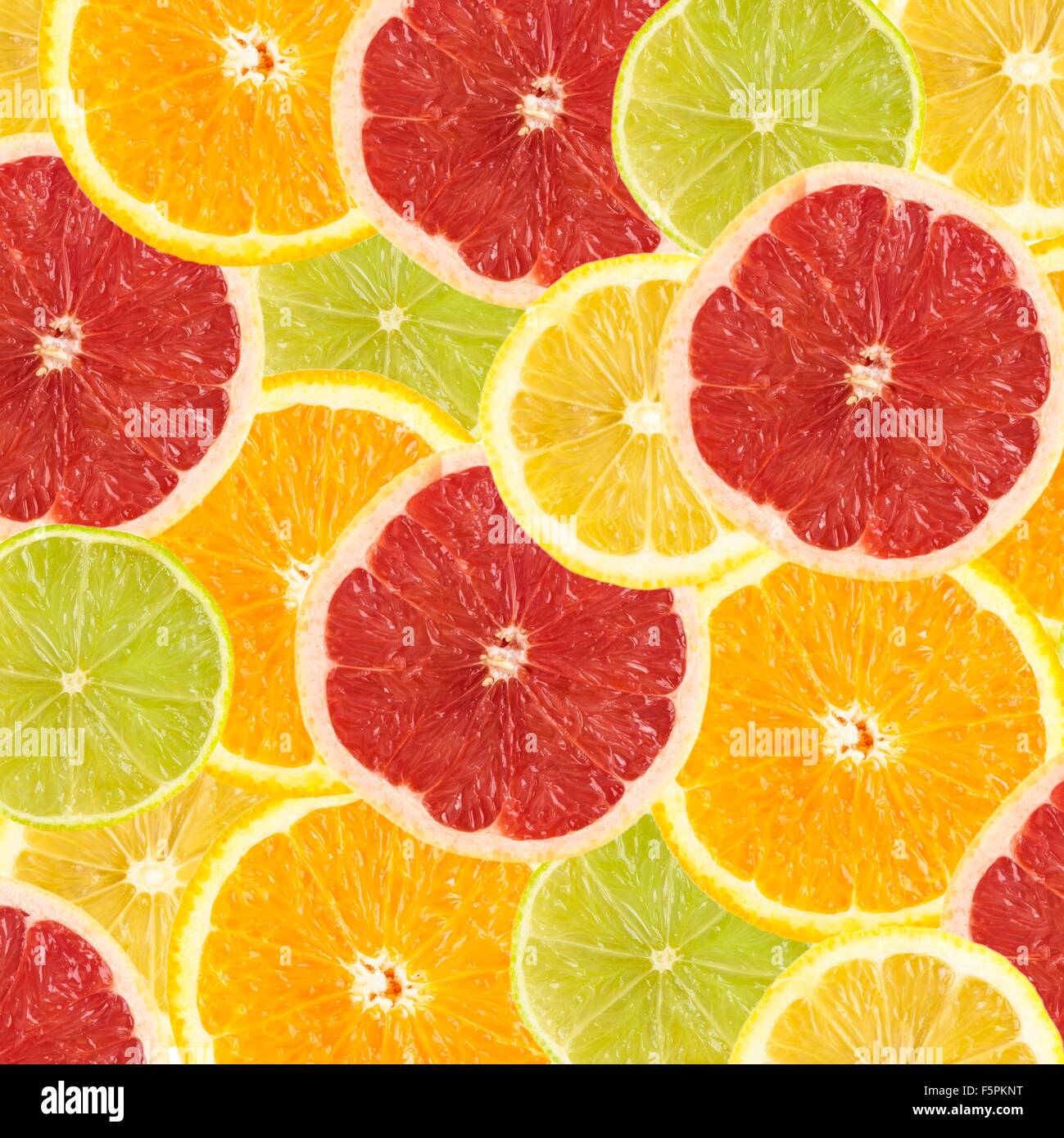 Citrus fruit slices. Stock Photo