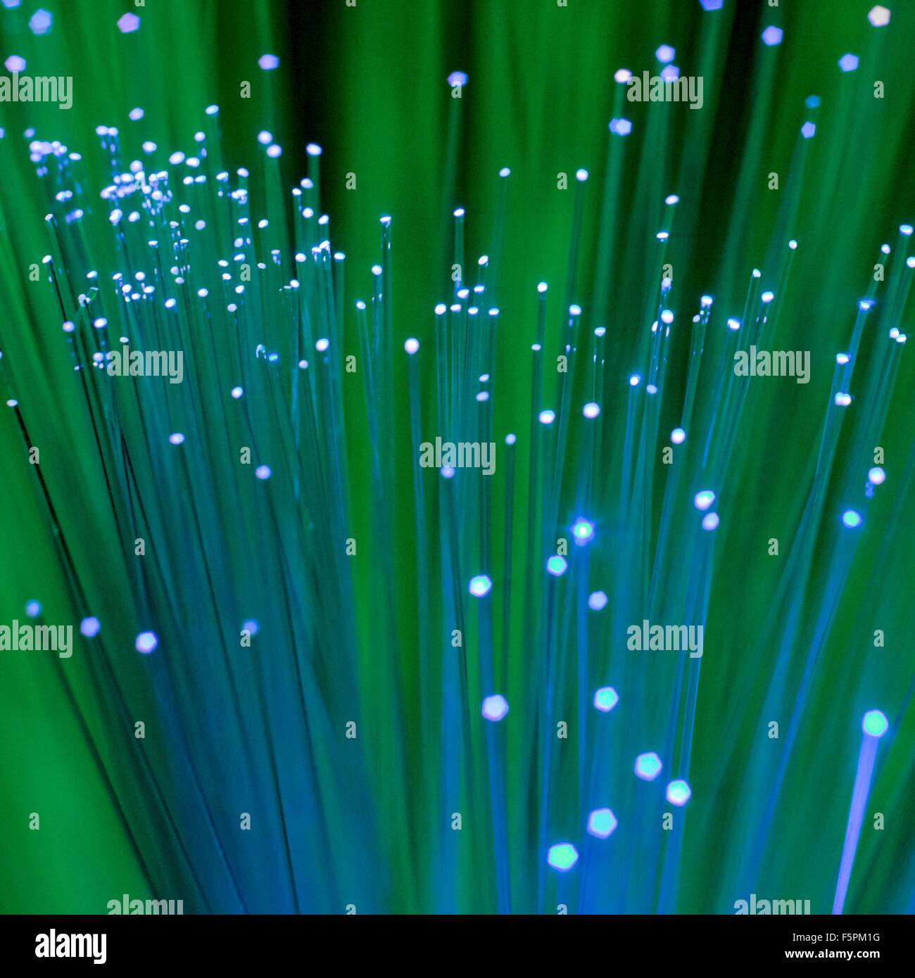 Fibre optics, close up Stock Photo Alamy