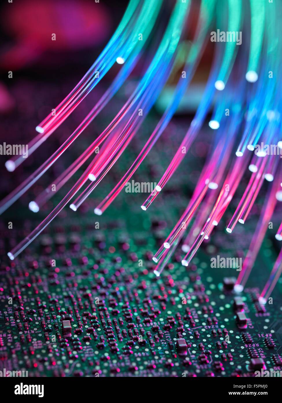 PROPERTY RELEASED. Fibre optics carrying data passing a computer ...