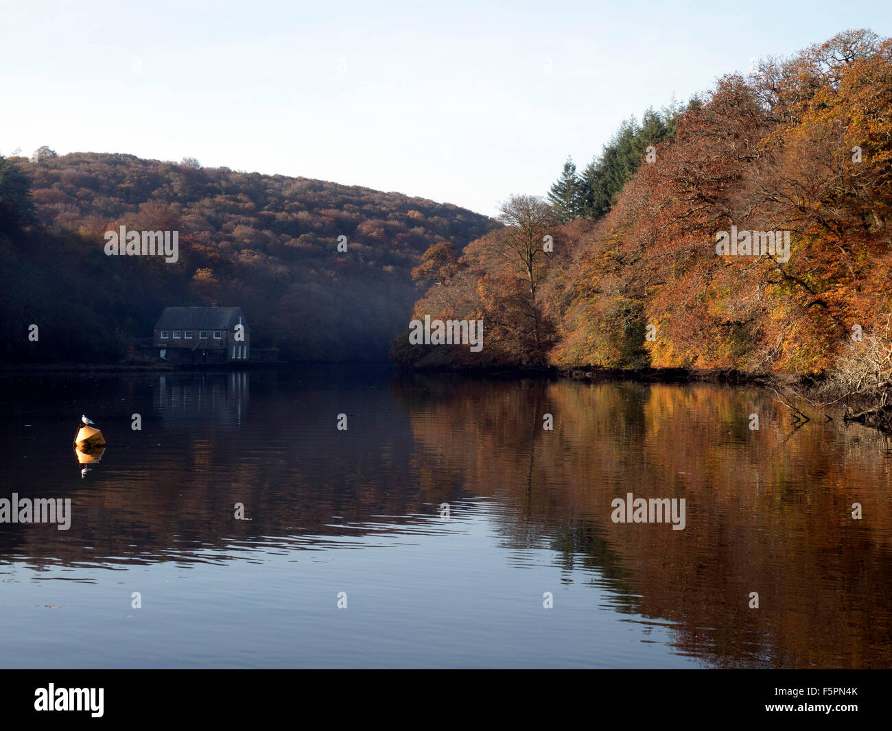 Autumn reflections in the river at Lerryn Cornwall Stock Photo