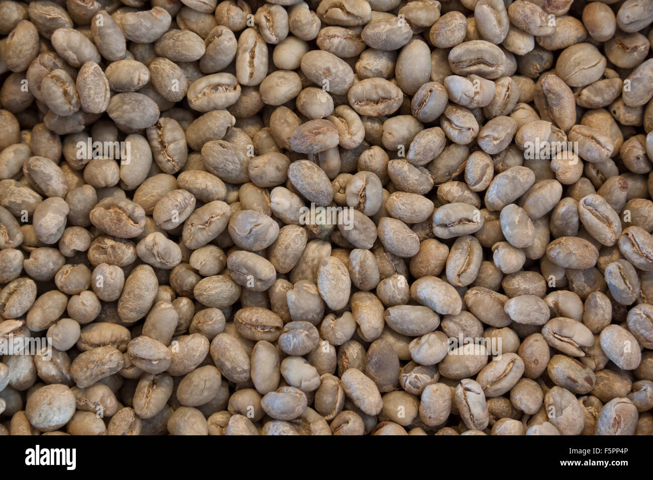 unroasted coffee beans Stock Photo Alamy