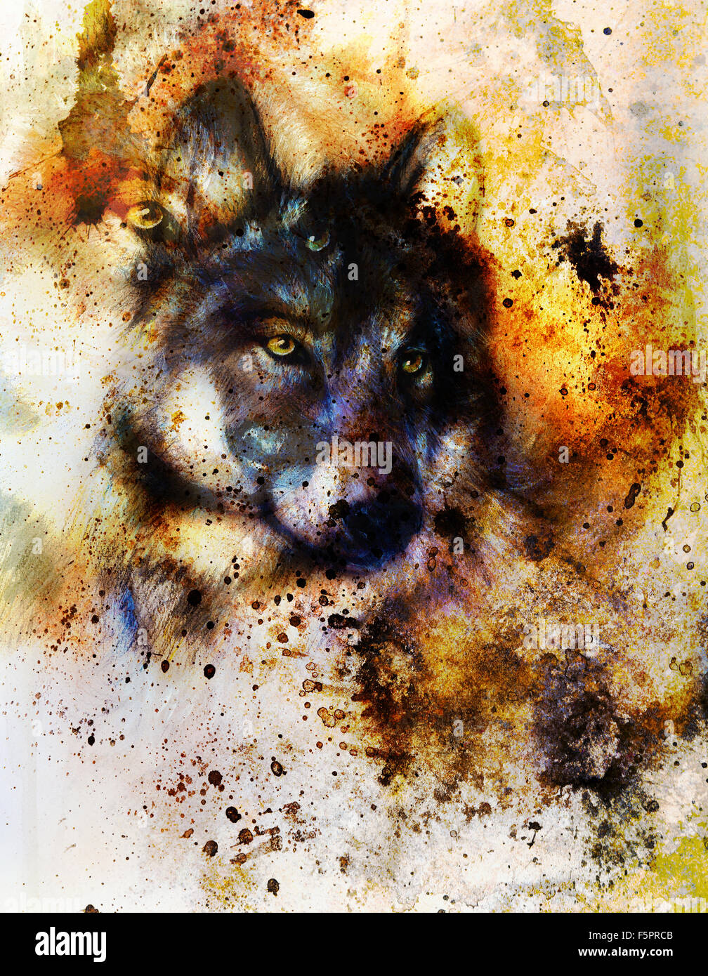 Wolf painting, color background, multicolor illustration and spots ...