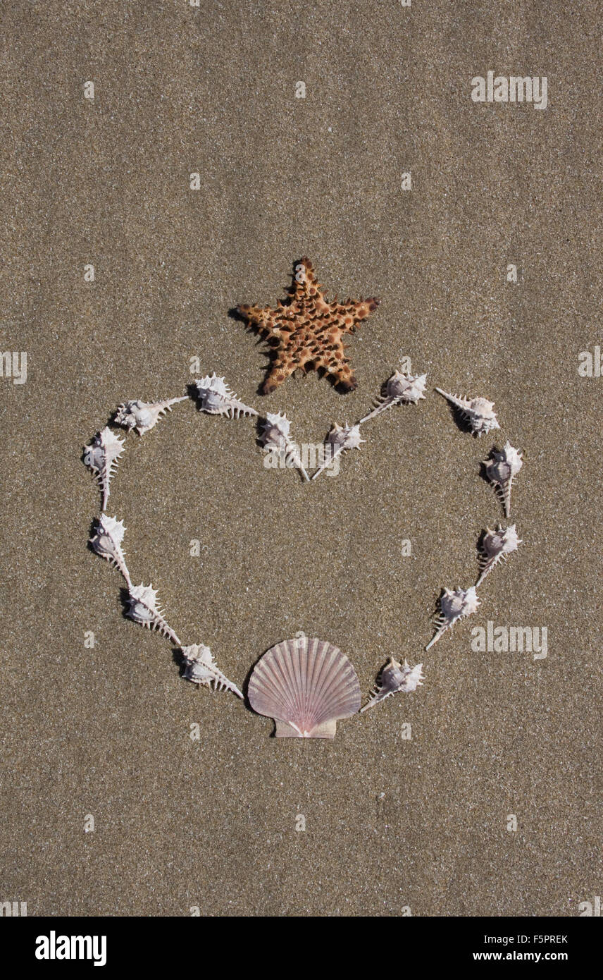 Shells laid out in a heart shape on the beach.  Copy space above and below.  More shells on the beach in my portfolio. Stock Photo