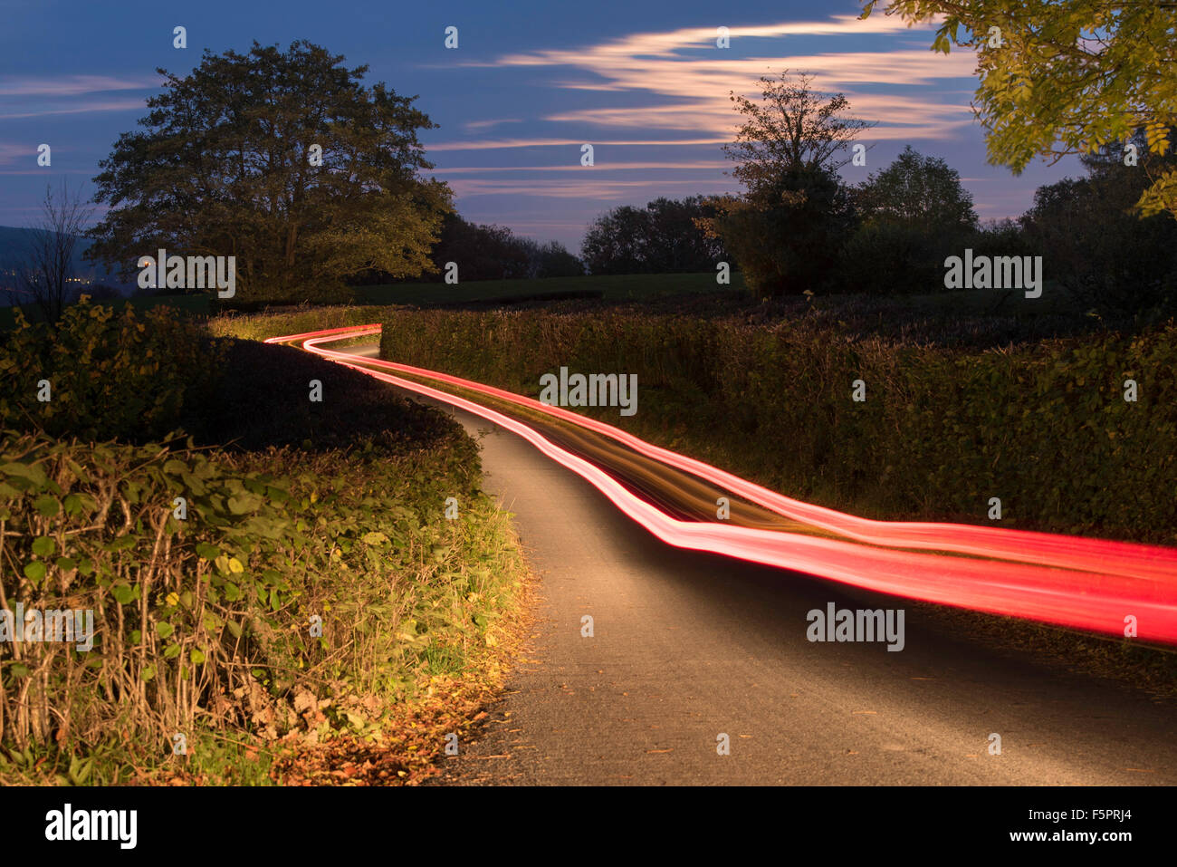 Highway road light night tree hi-res stock photography and images - Alamy