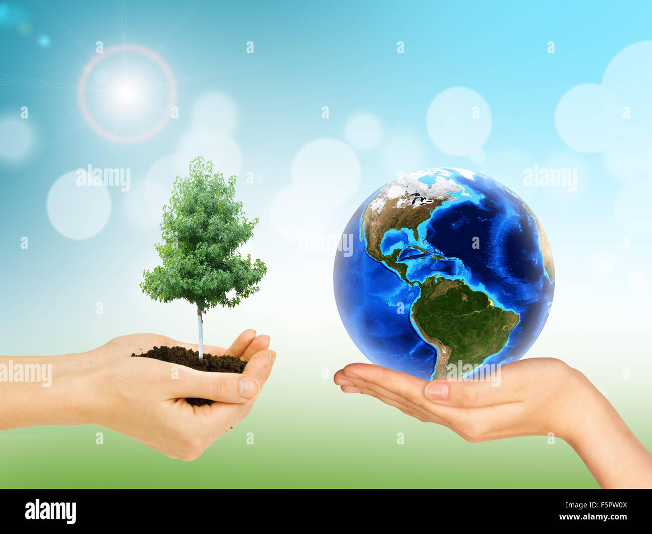 Hands holding earth globe tree in hi-res stock photography and images ...