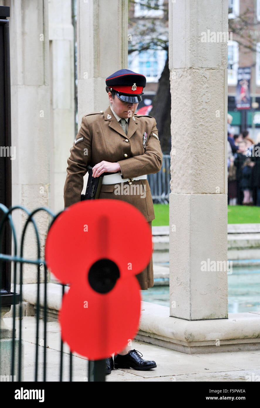 Brighton, UK. 8th Nov, 2015. Members of the armed forces stand guard  at the City of Brighton and Hove An Act of Remembrance Service held at the War Memorial in the Old Steine Photograph taken by Simon Dack/Alamy Live News Stock Photo