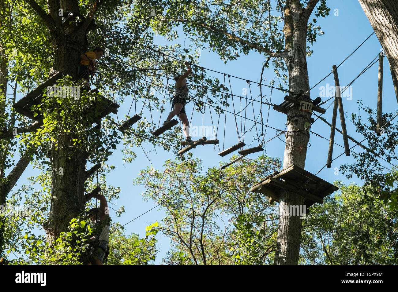 Tree,top,treetop,obstacle,course,At,Accro Parc, zipline,wire,Alet les
