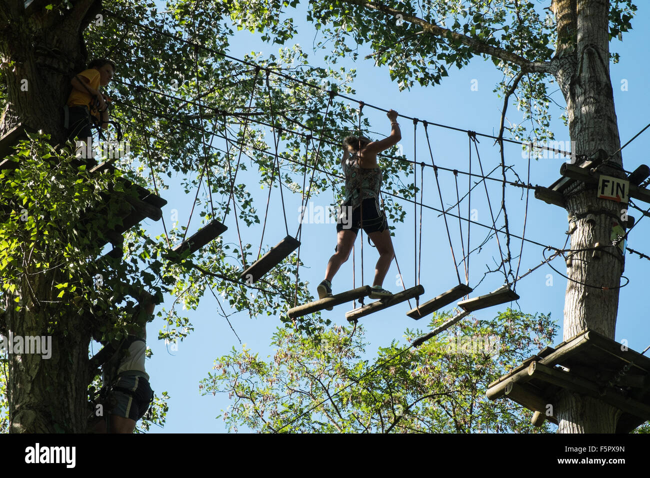 Tree,top,treetop,obstacle,course,At,Accro Parc, zipline,wire,Alet les