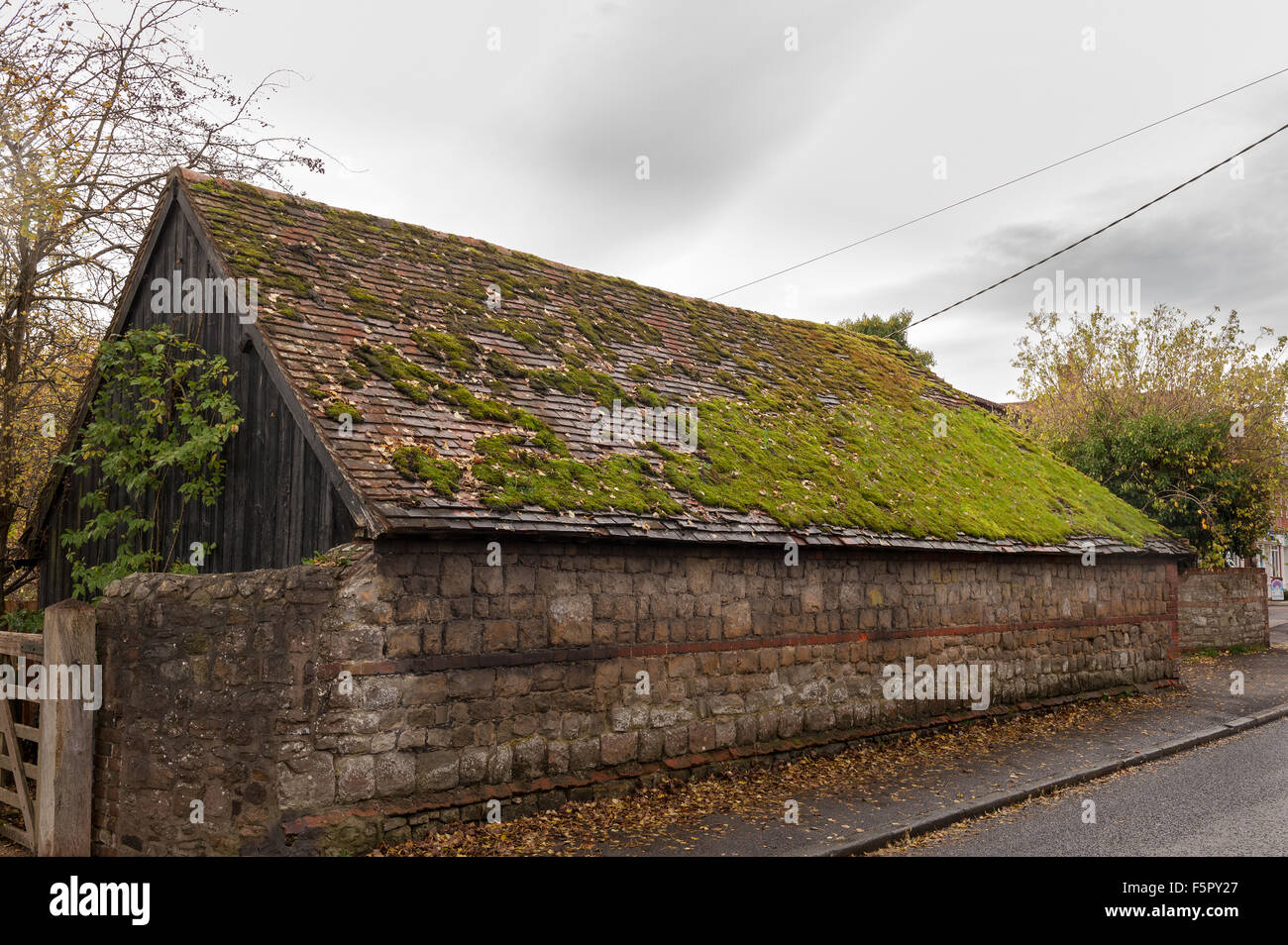 Old barn house roof coated in a thick layer of moss retaining water and dampness after rain shower leaking clay tiles Stock Photo