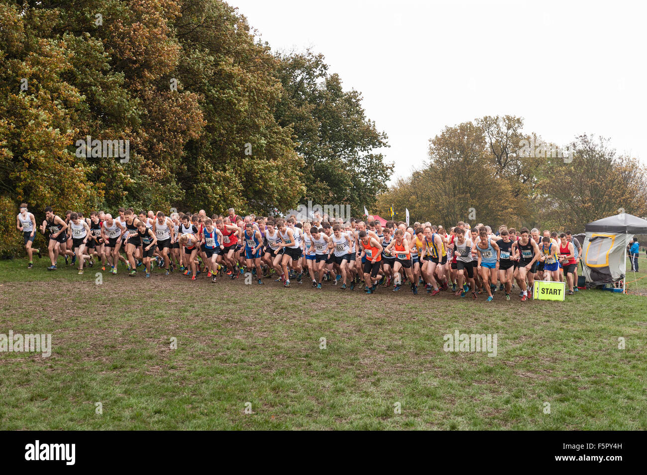 Mass line up of men ready to compete in cross country race on a rainy wet  autumn day ready at the starting line waiting for gun Stock Photo - Alamy