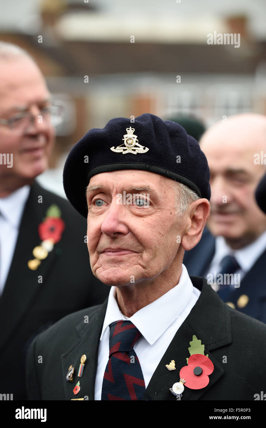 Remembrance Day Parade at the Cenotaph Town Centre Swindon 2015 Stock ...