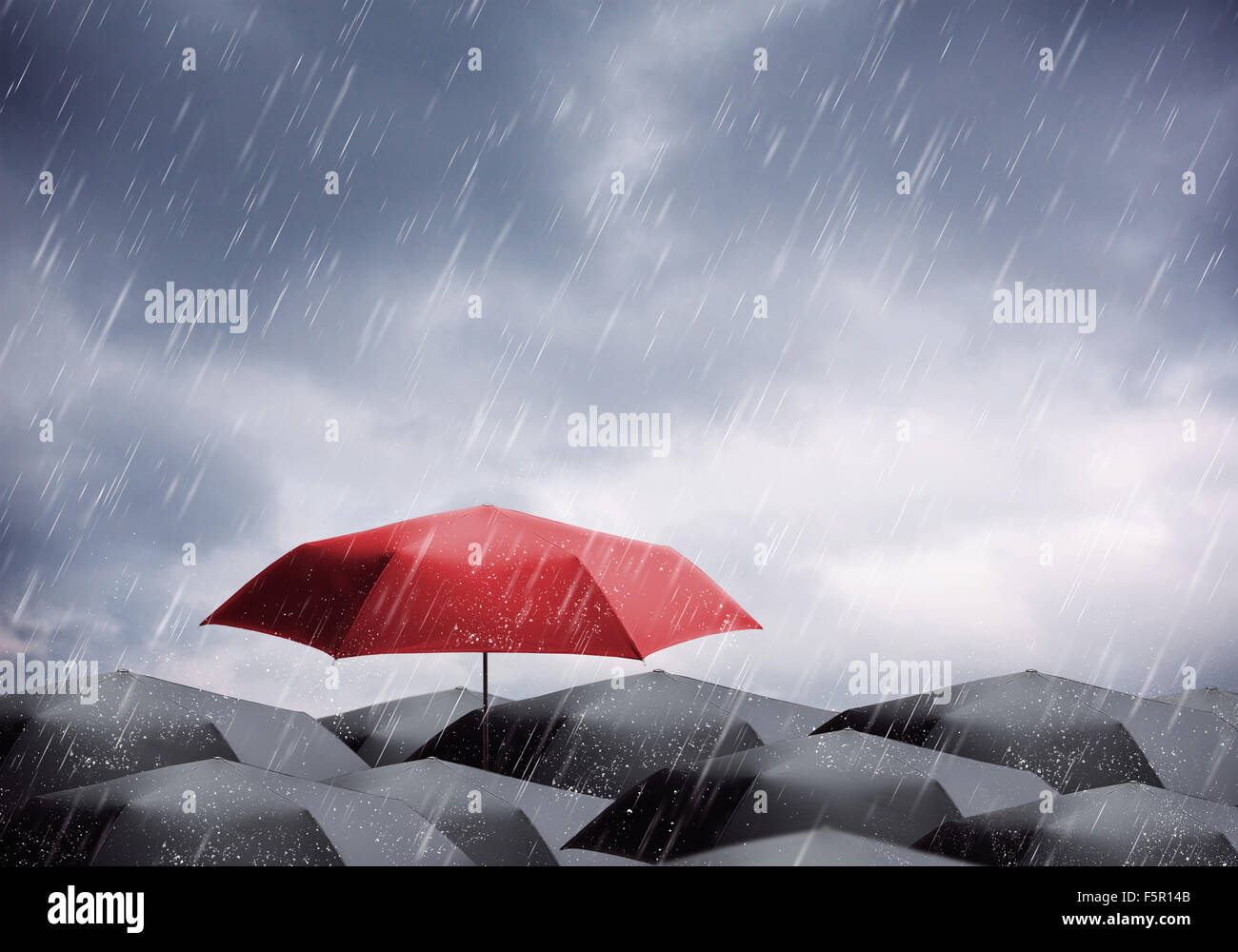 Black and one red umbrellas under rain and thunderstorm Stock Photo Alamy