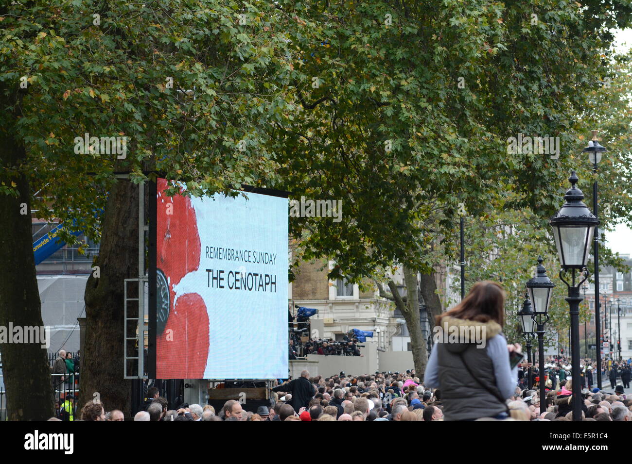 London, UK. 8th November, 2015. UK Remembrance Sunday. Woman climbs wall to watch the day's events. Credit:  Marc Ward/Alamy Live News Stock Photo