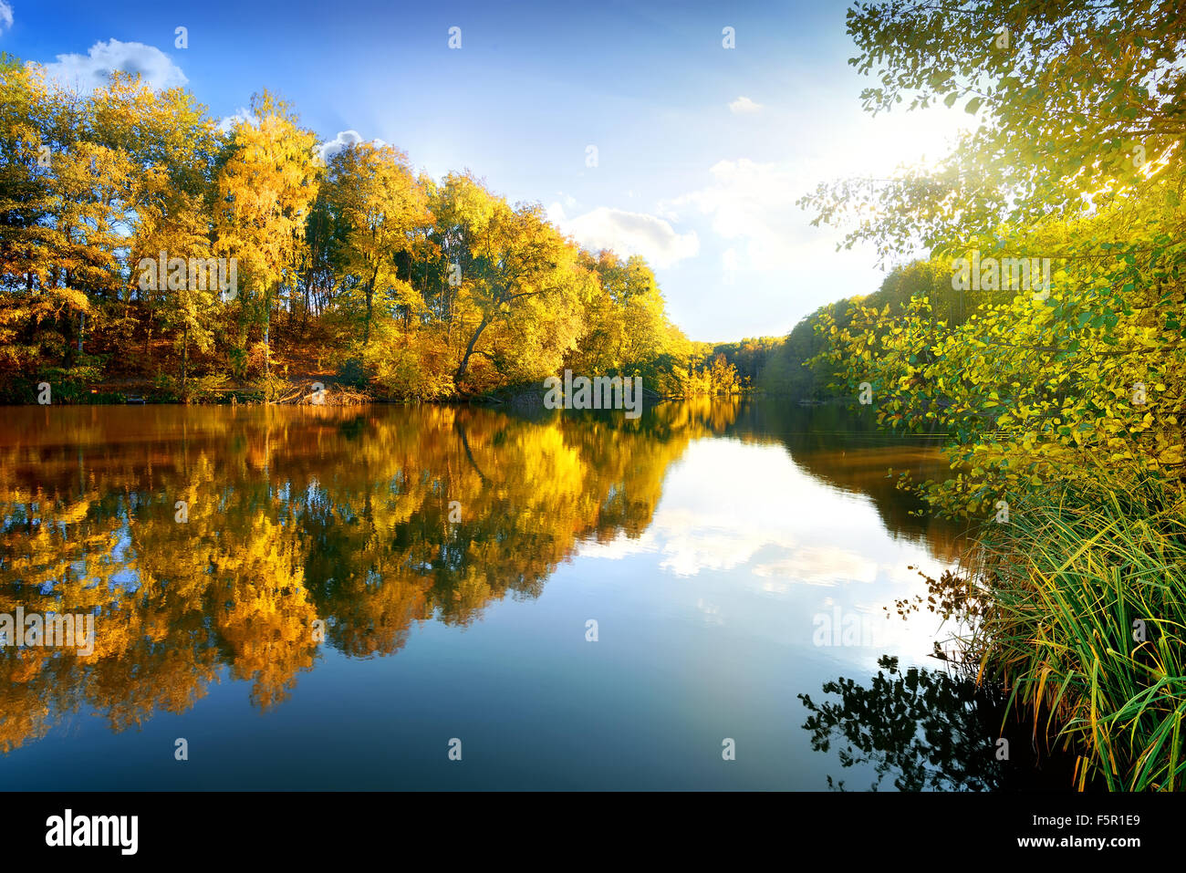 On bright sunny morning hi-res stock photography and images - Alamy