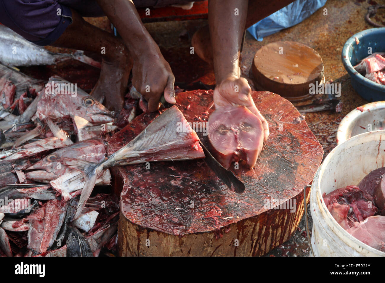 A man is cutting and preparing the fish at the fish market Stock Photo