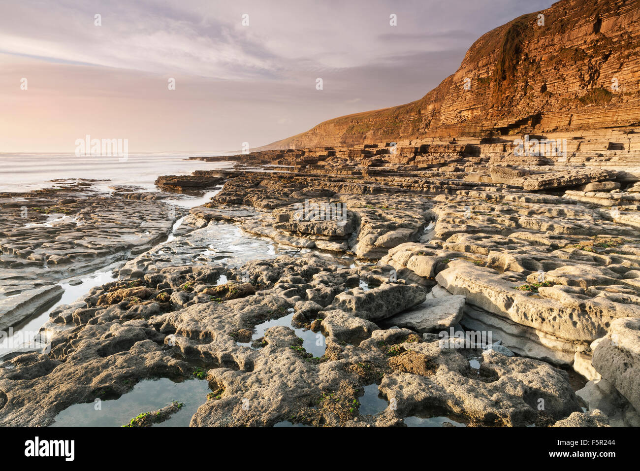 Beautiful rock formations at low tide at Southerndown, Vale of Glamorgan, Wales. The sunset is lighting up the cliffs Stock Photo