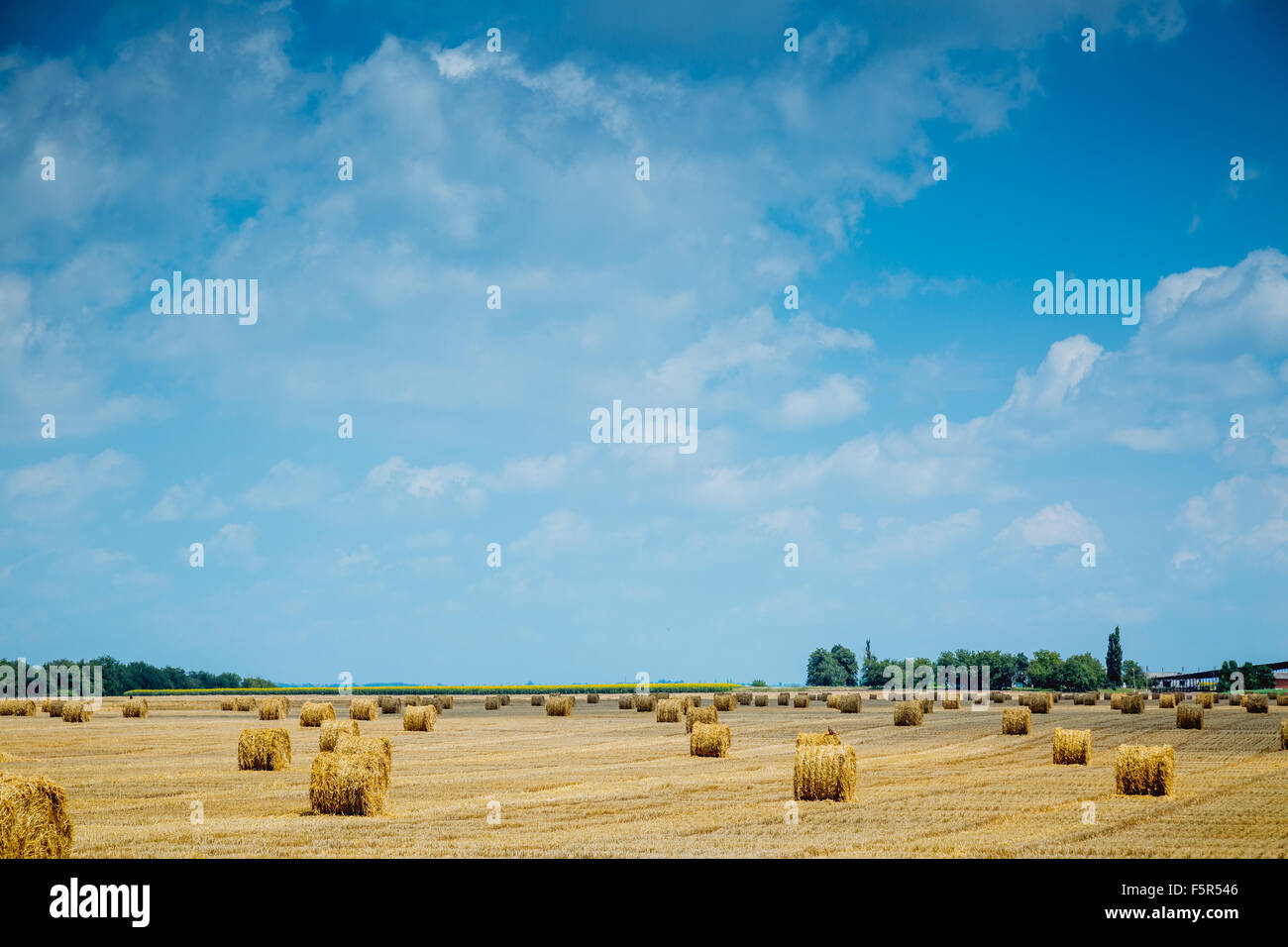 Straw bales on farmland with blue cloudy sky Stock Photo - Alamy