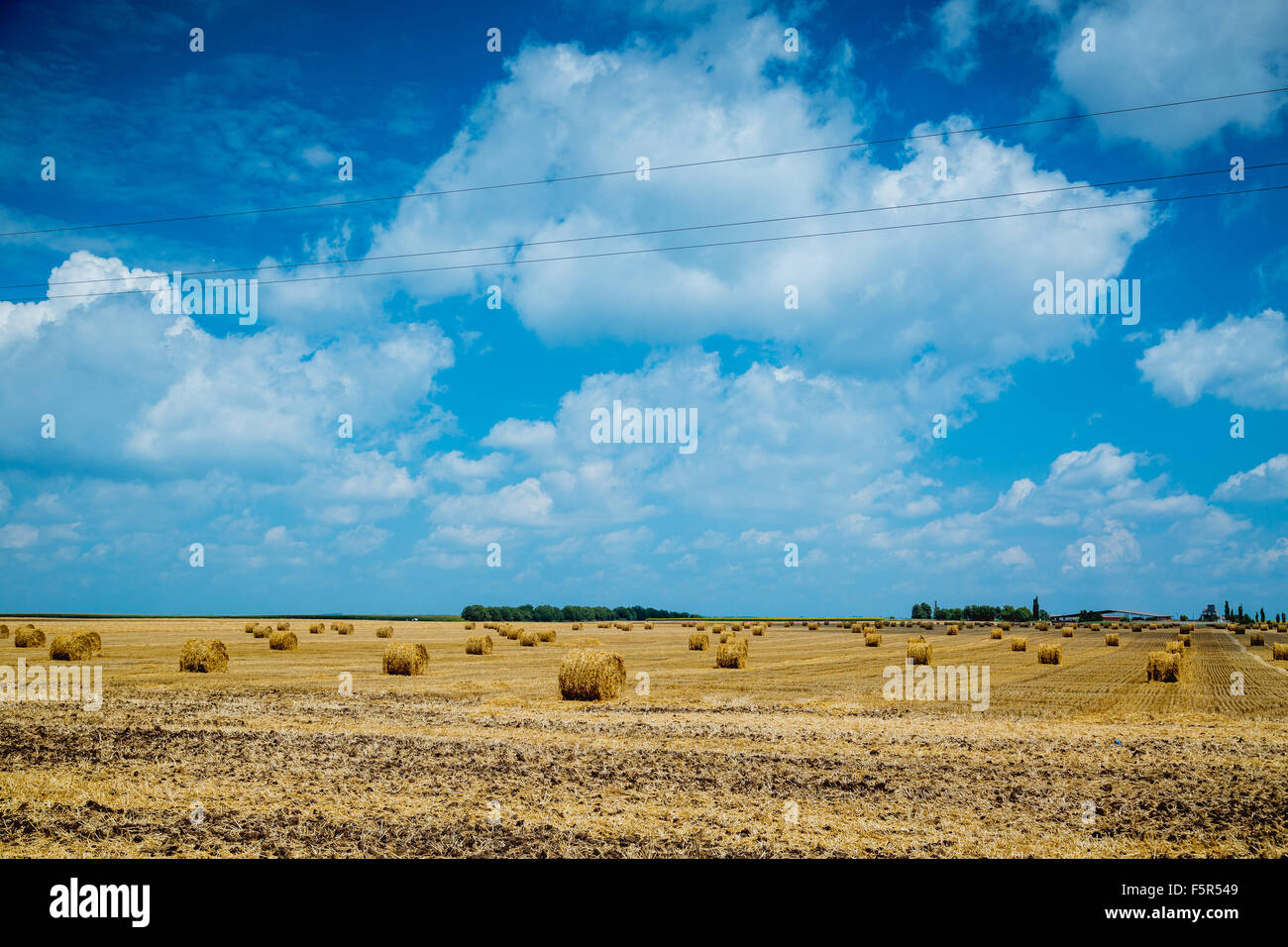 Straw bales on farmland with blue cloudy sky Stock Photo - Alamy