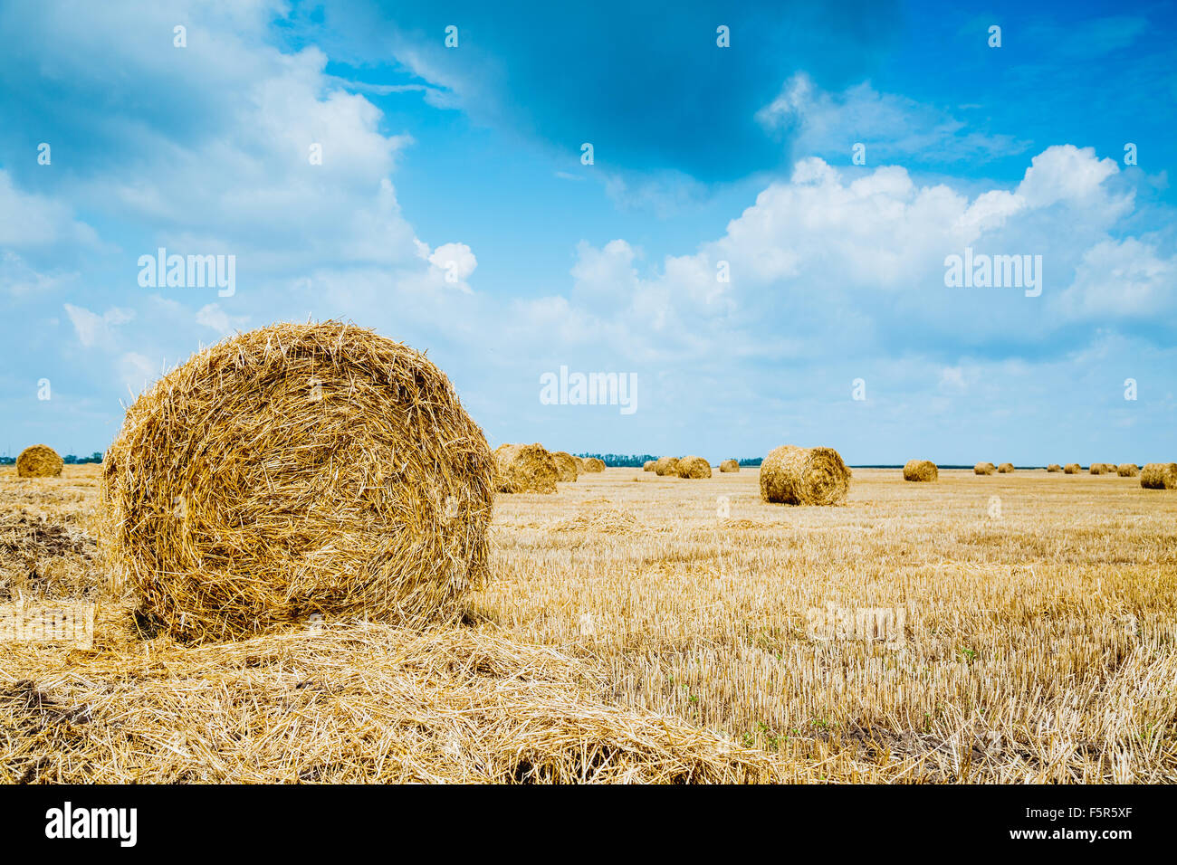 Straw bales on farmland with blue cloudy sky Stock Photo - Alamy