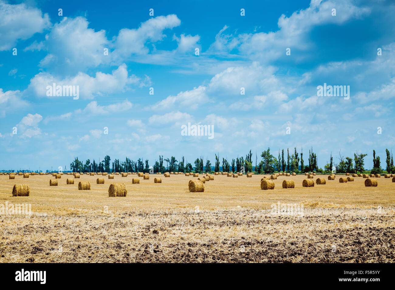 Straw bales on farmland with blue cloudy sky Stock Photo - Alamy