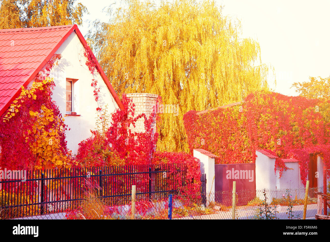 Romantic autumn scenery. Autumn trees and leaves on the house. Stock Photo