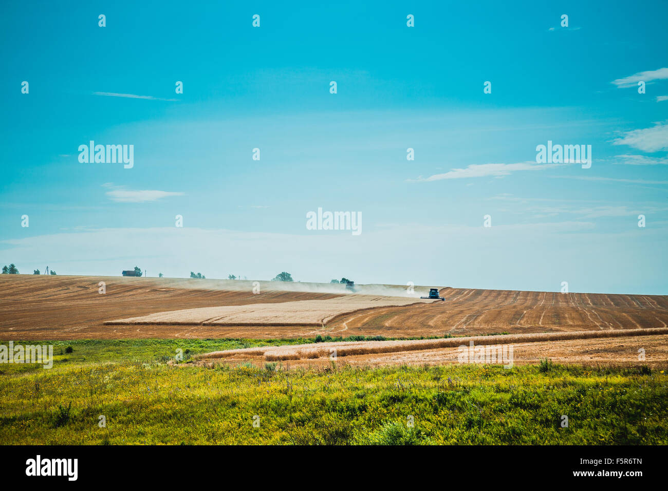 combine harvester on a wheat field with blue sky view from far Stock ...