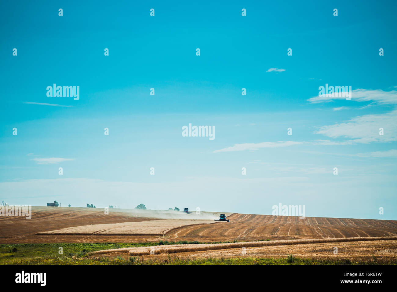 combine harvester on a wheat field with blue sky view from far Stock ...
