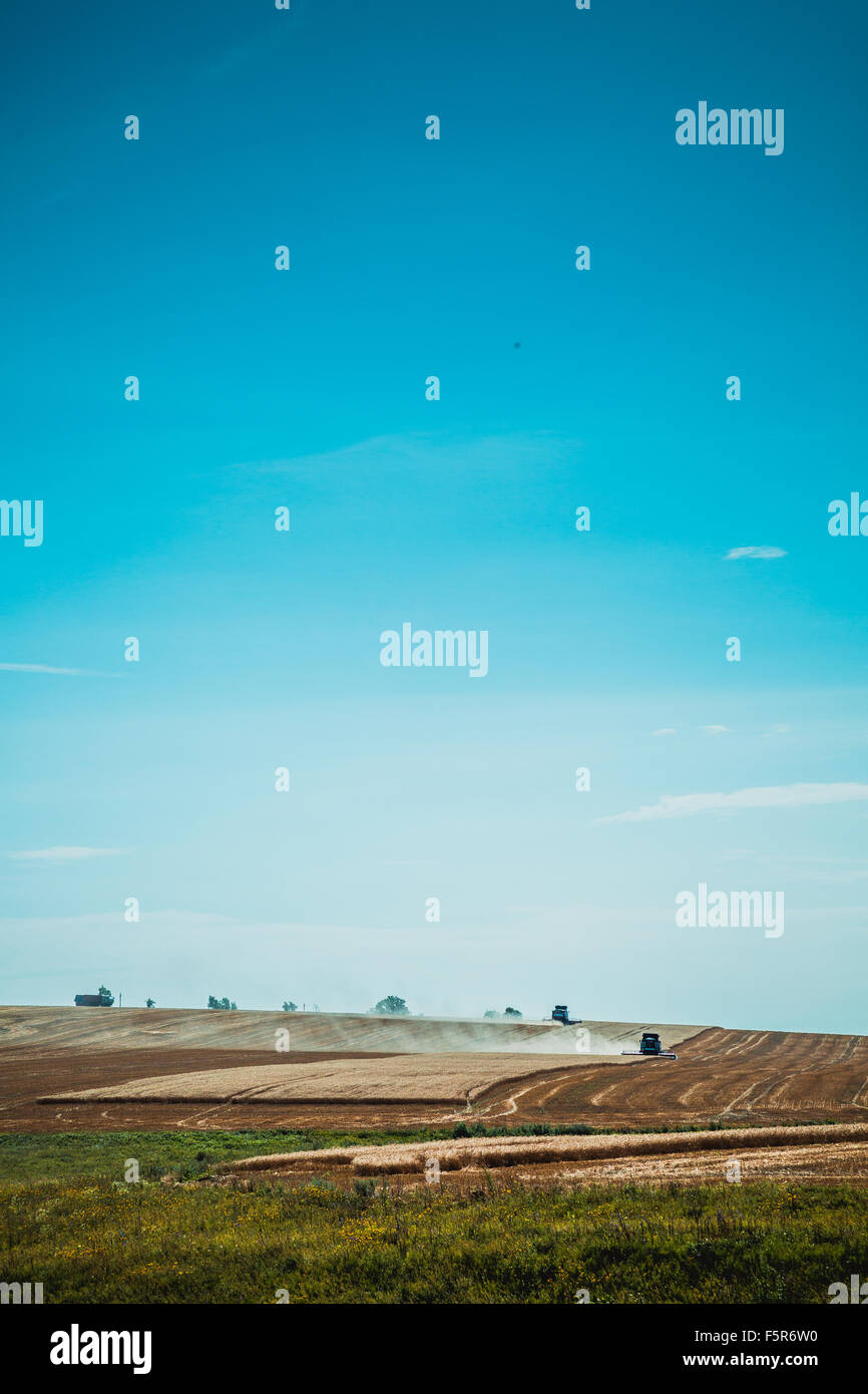 combine harvester on a wheat field with blue sky view from far Stock ...